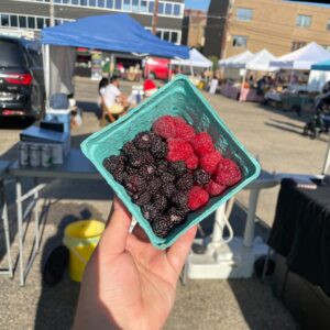 Los Rodriguez Beautiful Berries - Raspberries and Black Raspberries shining in the sun.