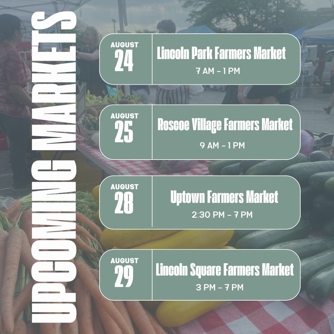 ✨ Savor the flavors of late summer with Moody Teas! 🍑🌿 We're bringing our fav late summer sips and the cozy, spiced goodness of Pumpkin Up Chai to your favorite Chicago farmers markets this week. Catch us at Lincoln Park, Roscoe Village, Uptown, and Lincoln Square! 🌞 Mark your calendars, grab a cup, and let’s make the most of these golden days together. See you at the market! ✨ #MoodyTeas #FarmersMarket #LateSummerSips #Chicago