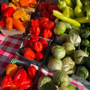 Quart produce boxes of vibrant red, yellow, and orange chili peppers, chartreuse banana peppers, and green tomatillos.