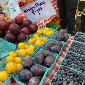 An assortment of fresh plums and blueberries displayed at a market stand. Yellow and dark purple plums are organized in blue cartons, labeled "Michigan Plums $7.00" on a sign above. Blueberries in similar containers are arranged to the right, while other fruits like apples and peaches are visible in the background.