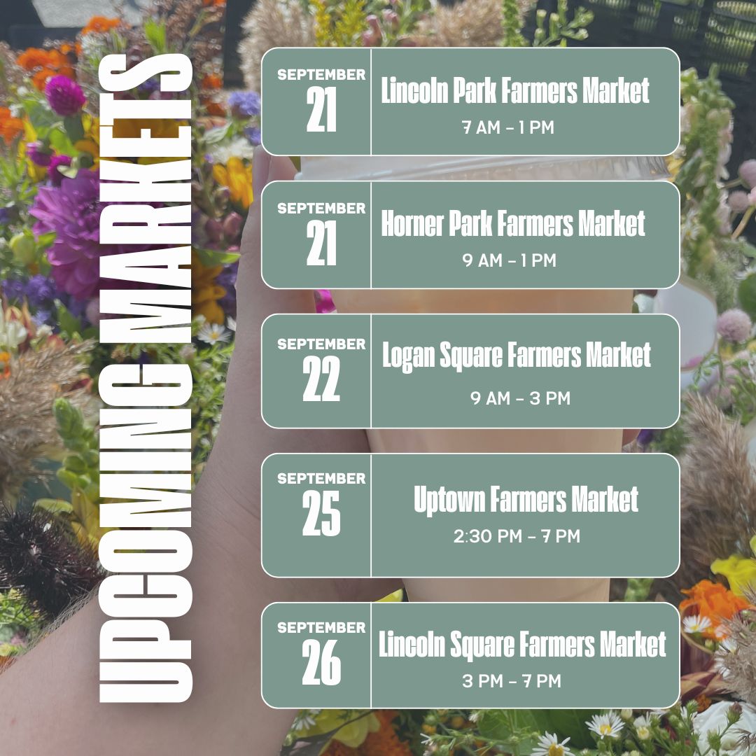 Graphic with a floral background and the heading 'Upcoming Markets.' The dates and times for the Moody Teas farmers market schedule from September 21st to September 26th are listed: September 21: Lincoln Park Farmers Market, 7 AM – 1 PM September 21: Horner Park Farmers Market, 9 AM – 1 PM September 22: Logan Square Farmers Market, 9 AM – 3 PM September 25: Uptown Farmers Market, 2:30 PM – 7 PM September 26: Lincoln Square Farmers Market, 3 PM – 7 PM. The background shows a hand holding a cup of tea with vibrant flowers.