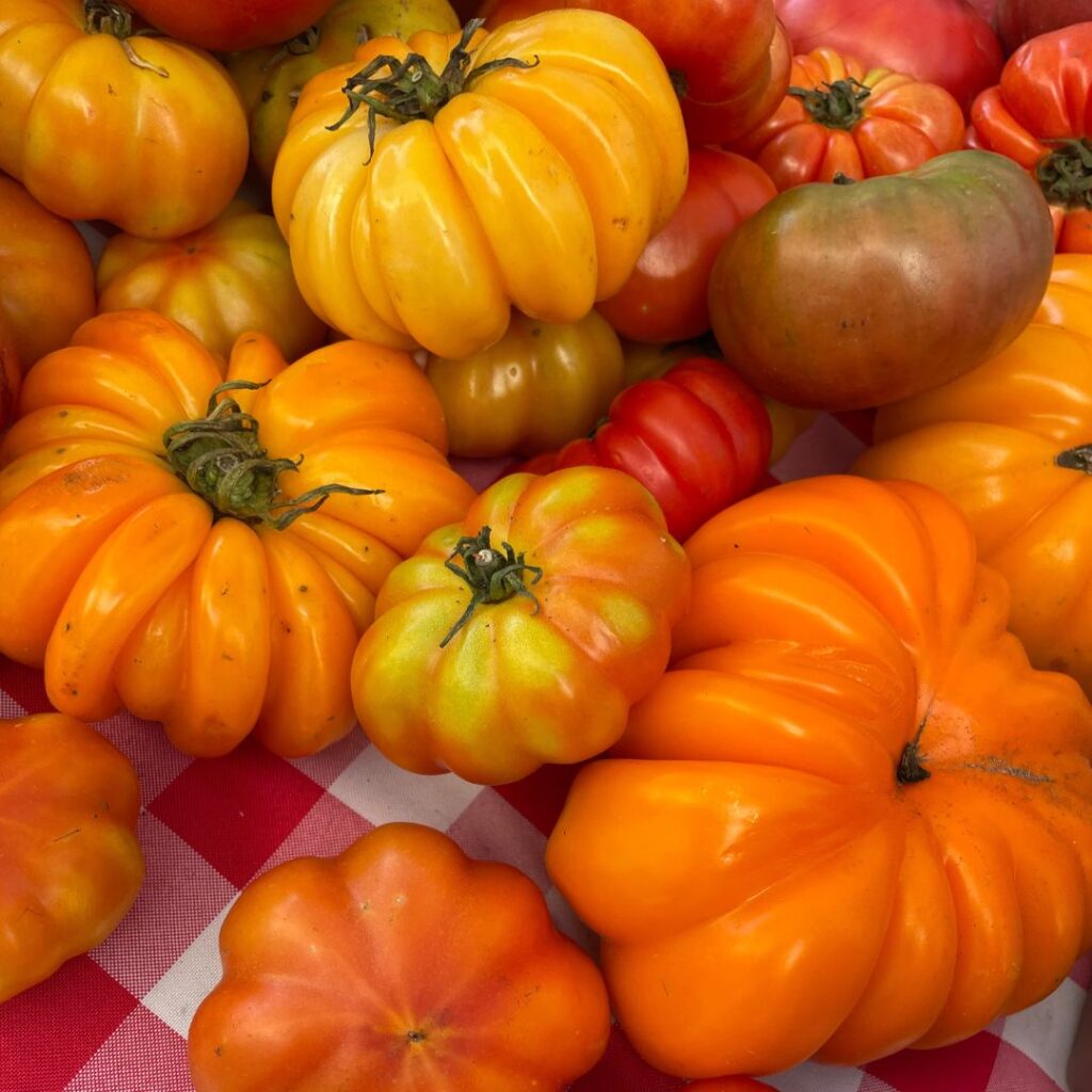 A close-up of heirloom tomatoes in shades of bright orange, yellow, and red displayed on a red and white checkered tablecloth at a farmers market. The tomatoes are uniquely shaped with ridges and bumps, showcasing their natural variety and vibrant colors.