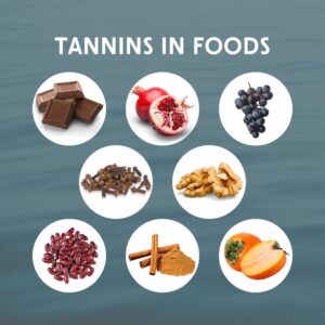 An image titled "Tannins in Foods" displaying circular images of various tannin-rich foods on a greenish-blue background. The foods shown include dark chocolate, pomegranate, grapes, cloves, walnuts, kidney beans, cinnamon sticks with ground cinnamon, and persimmon.