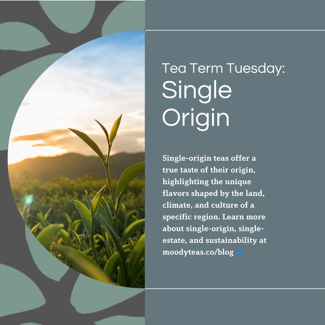 Tea Term Tuesdays: Exploring Unique Flavors from Around the World with Single-Origin Teas