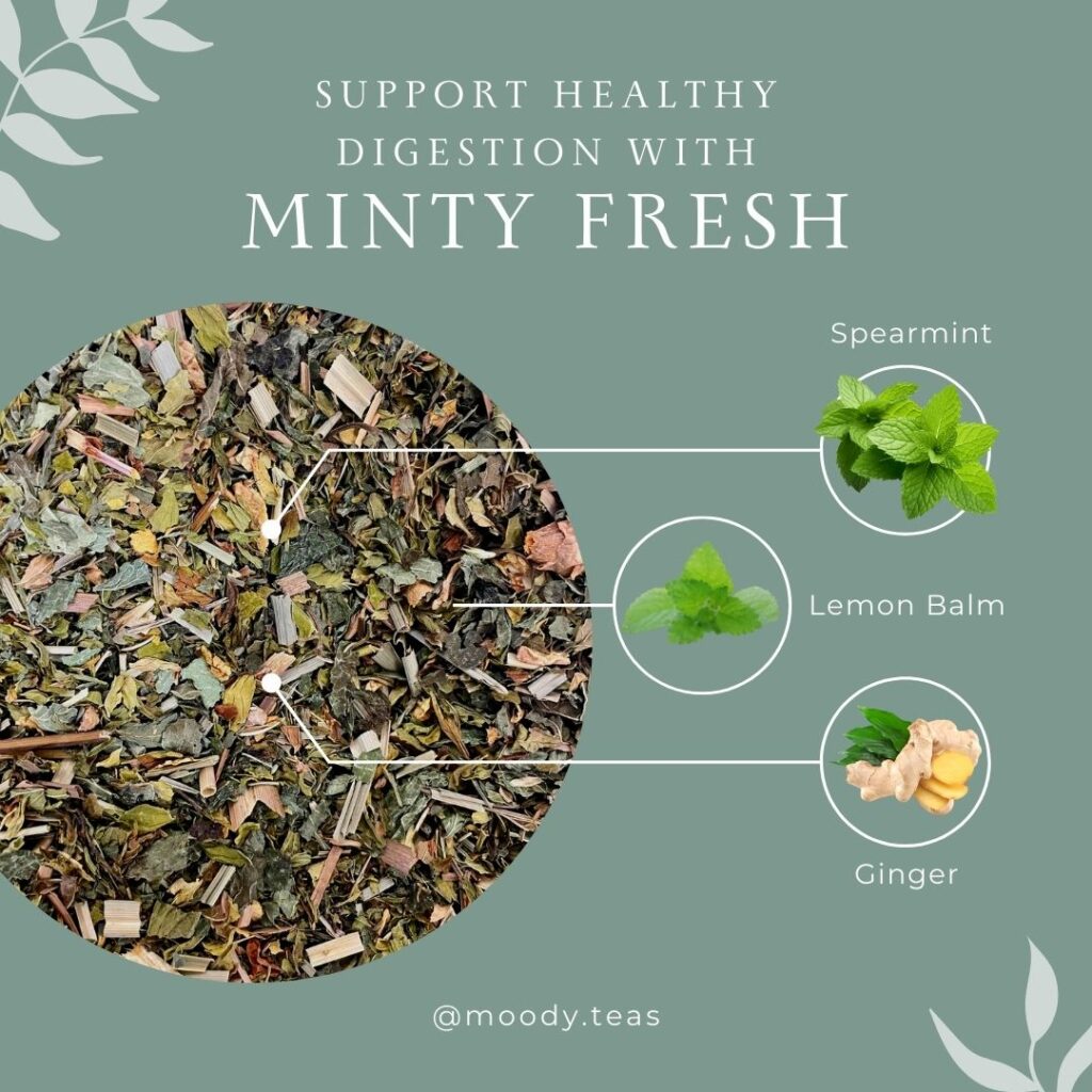 Loose tea blend with spearmint, lemon balm, and ginger pieces, labeled for supporting healthy digestion.