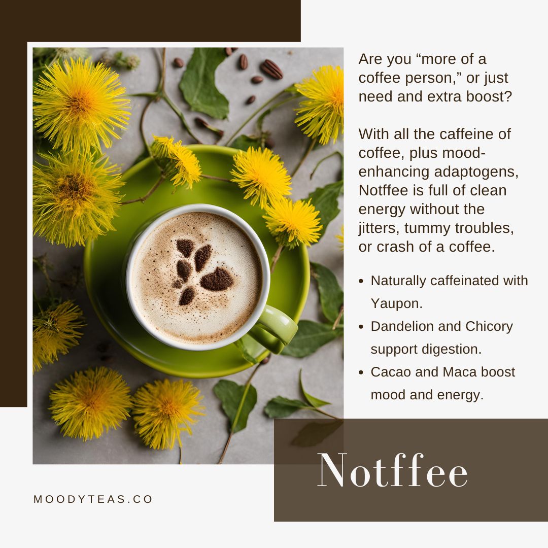 Spotlight on Moody Teas’ Notffee Blend: Your Coffee Alternative with a Balanced Boost