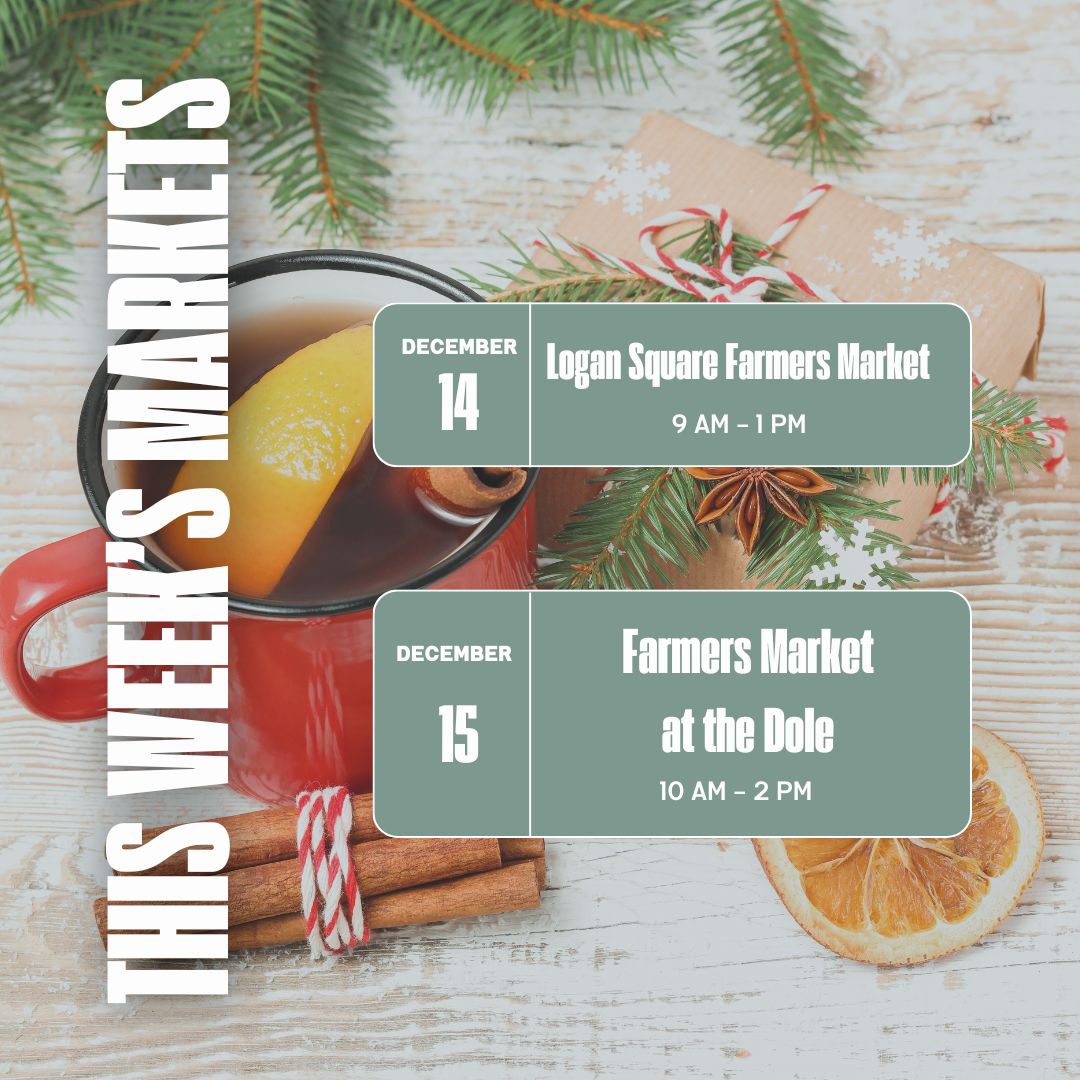 A graphic listing two markets for Moody Teas. The top half features December 14th at Logan Square Farmers Market from 9 AM to 1 PM, while the bottom half features December 15th at the Farmers Market at the Dole from 10 AM to 4 PM. The background includes a cozy holiday theme with tea, cinnamon sticks, and evergreen sprigs.