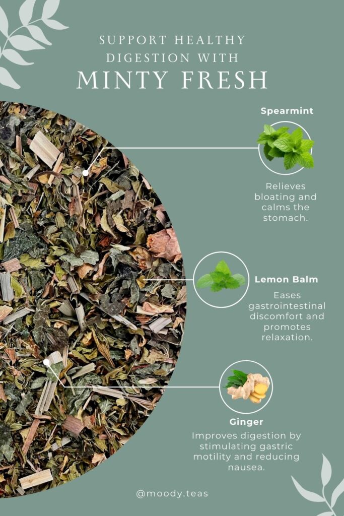 Support healthy digestion with the Minty Fresh tea blend. Highlighted ingredients include spearmint to relieve bloating, lemon balm to ease gastrointestinal discomfort, and ginger to improve digestion and reduce nausea.