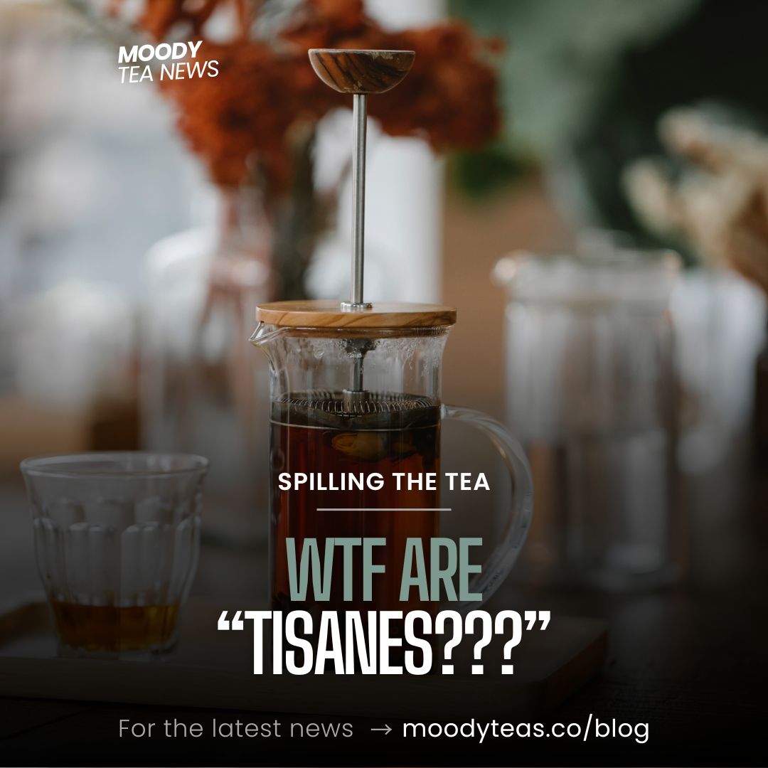 A stylish French press filled with an herbal tisane surrounded by glassware, with blurred orange flowers in the background. The text overlay includes “MOODY TEA NEWS” at the top, “Spilling the Tea” in smaller text, and “WTF Are ‘Tisanes???’” in bold letters. At the bottom, it says: “For the latest news → moodyteas.co/blog