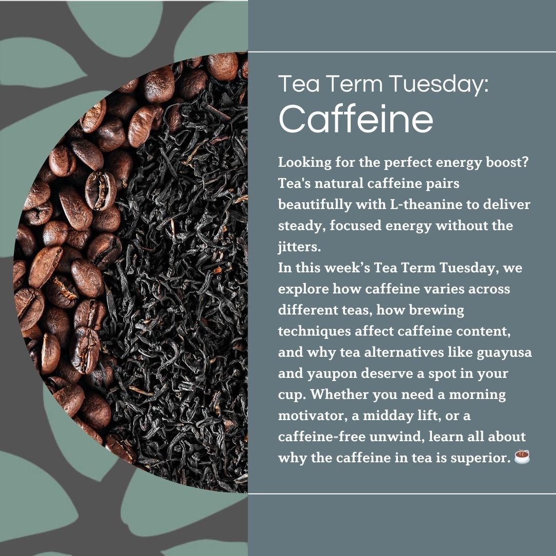 Tea Term Tuesday: The Buzz About Caffeine in Tea 🍵