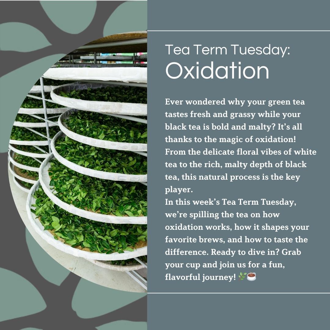 Tea Term Tuesday: Let’s Chat About Oxidation