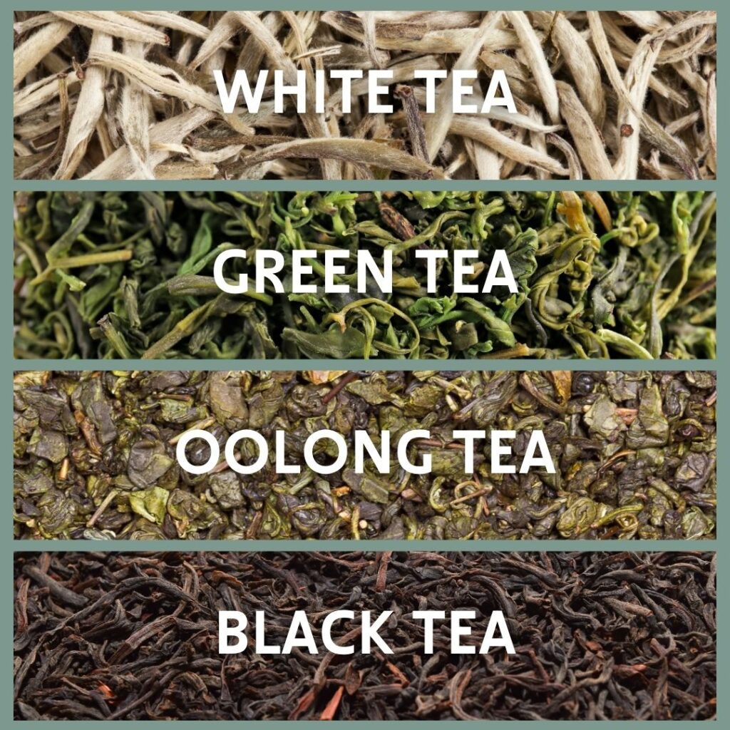 A collage showing four types of tea leaves arranged vertically with text labels. The top section shows white tea with its light, delicate leaves. Below that is green tea, featuring vibrant green leaves. The third section shows oolong tea with tightly curled leaves of a dark green-brown hue. The bottom section displays black tea, with dark, fully oxidized leaves.