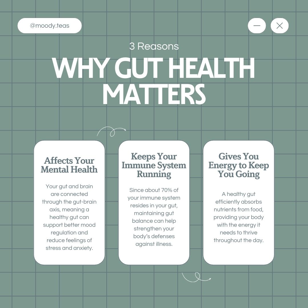 A Fresh Take on Gut Health: Discover Minty Fresh