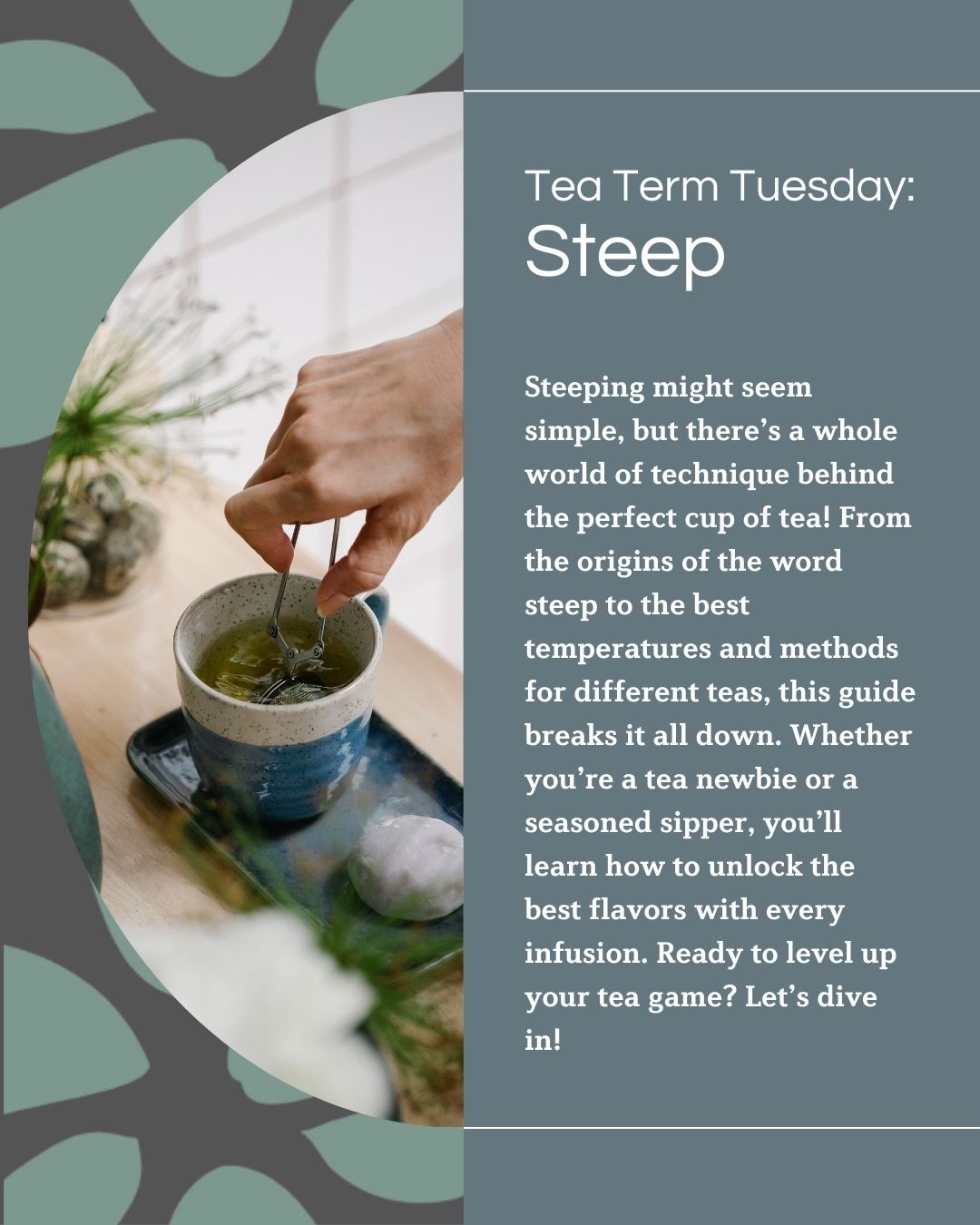 Tea Term Tuesday: Steep