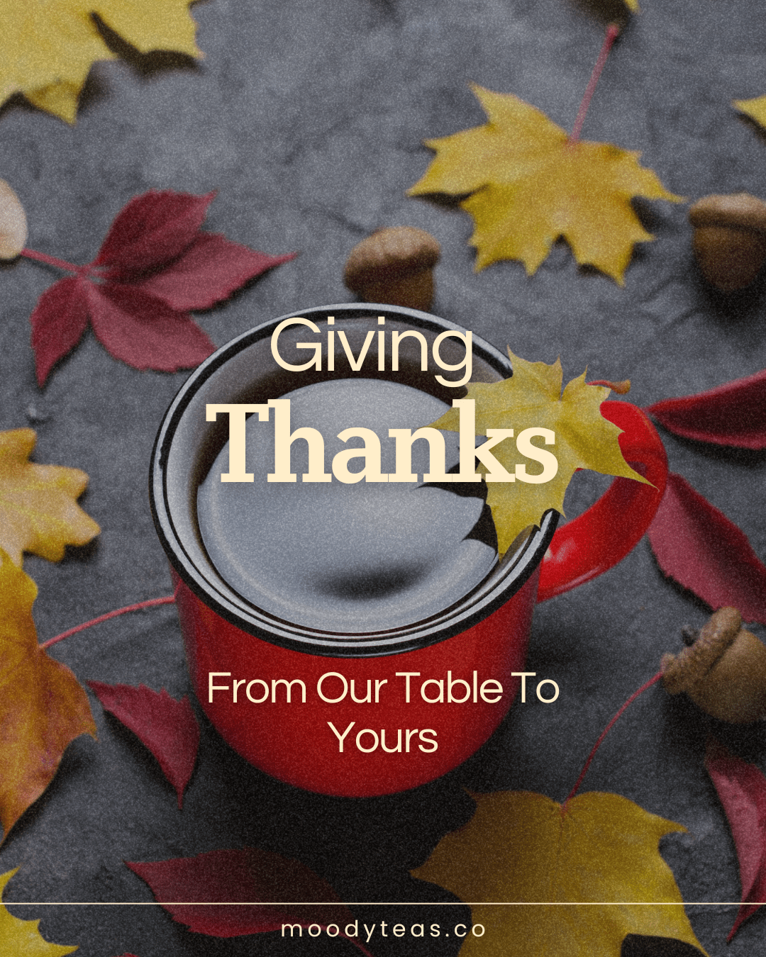 A Different Kind of Thanksgiving: What We’re Thankful For This Year