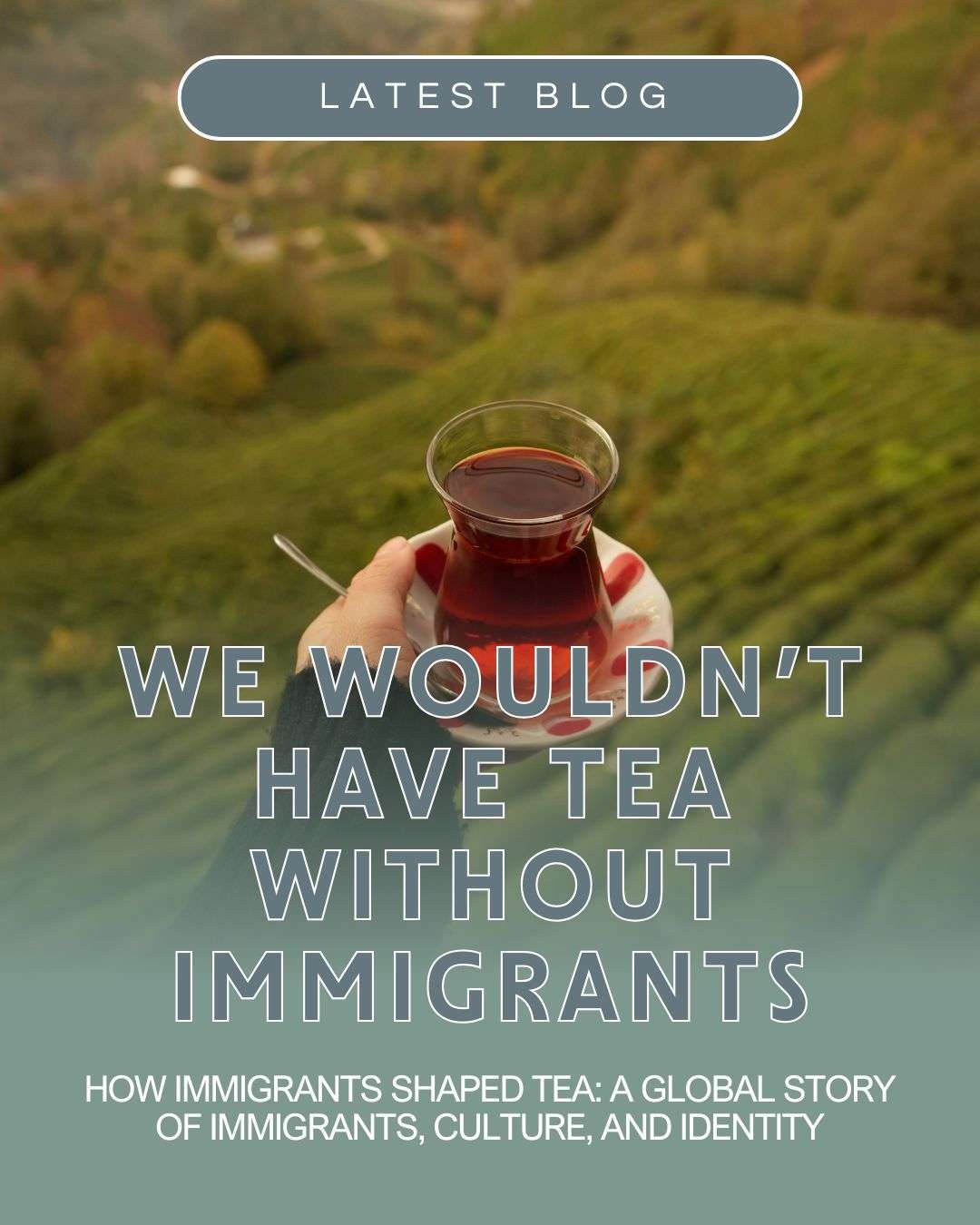 How Immigrants Shaped Tea: A Global Story of Immigrants, Culture, and Identity